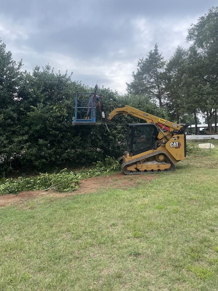 CAT skid steer with man basket trimming hedges and trees